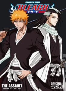 Bleach Season 5