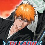 Bleach Season 9 Episode 22