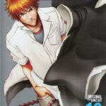 Bleach Season 16 Episode 24