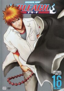 Bleach Season 16