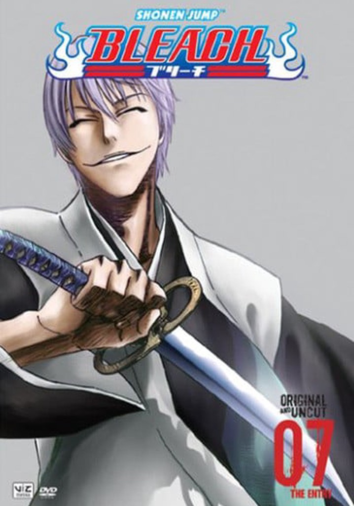 Bleach Season 7