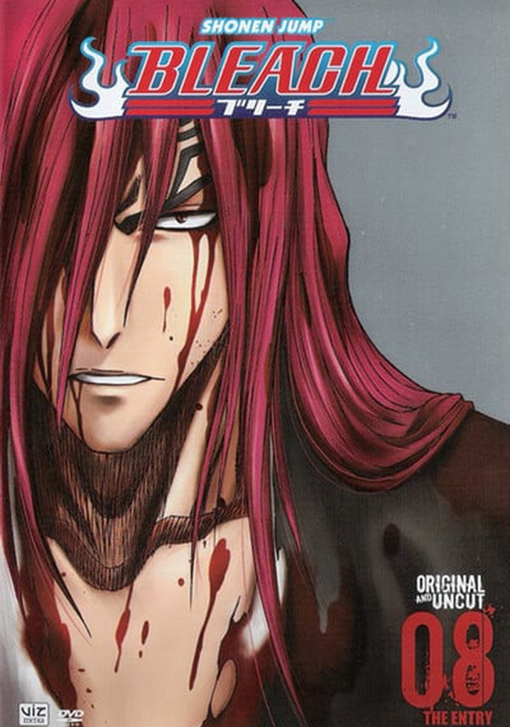 Bleach Season 8